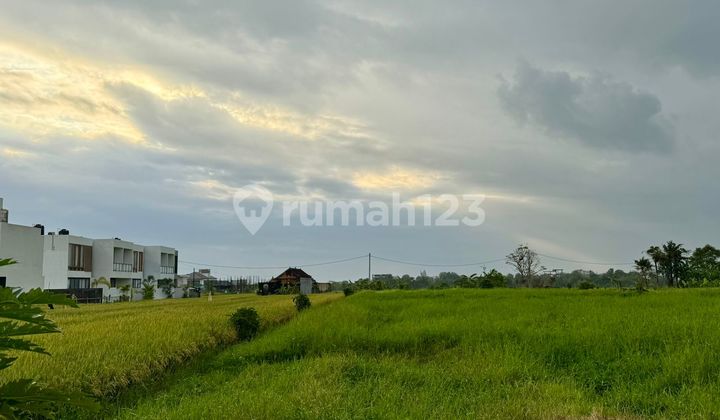 Tanah Kavling 30 are Bisa Dipecah SHM Area Pariwisata Cemagi dekat Canggu