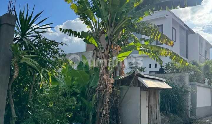 Tanah Plot Kecil Murah 1 Are Under 1M di Bali Denpasar Timur