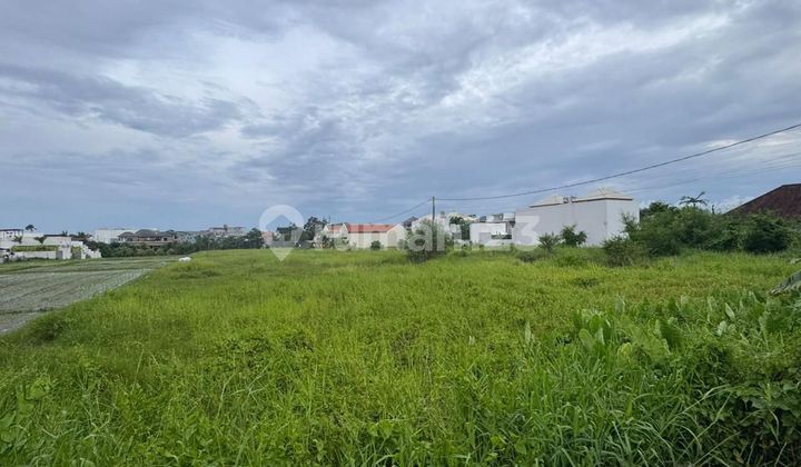 SHM Freehold Land 10 Are Pink Itr in Cemagi Near the Beach