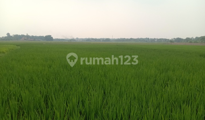 Dijual Tanah Sawah di Cibarusah Bekasi