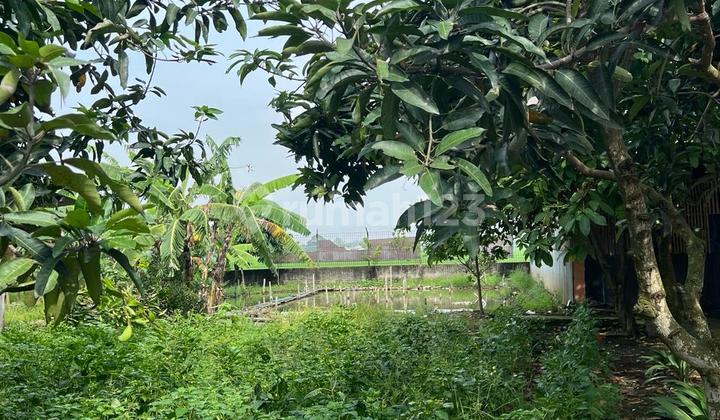 Dijual Cepat Tanah Pribadi Dijual Cepat Tanah Pribadi