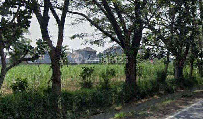 Dijual Tanah Kavling Siap Bangun Di Jl. Raya Arjowinangun 1