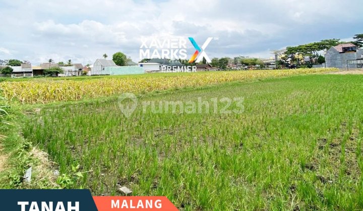 Dijamin Murah Dijual Tanah Lahan Pertanian di Cepokomulyo Kepanjen Malang