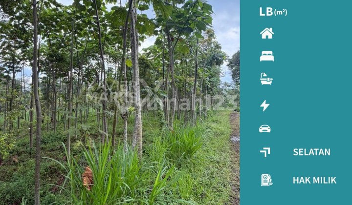 Dijual Murah Tanah Super Luas di Sumbersuko Wagir, Malang Dijual Murah Tanah Super Luas di Sumbersuko Wagir, Malang