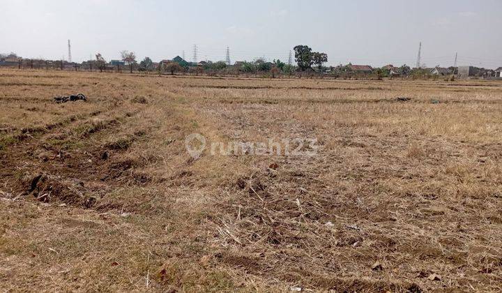 DIJUAL TANAH DI REMBANG JAWA TENGAH SESUAI UTK PERUM 2