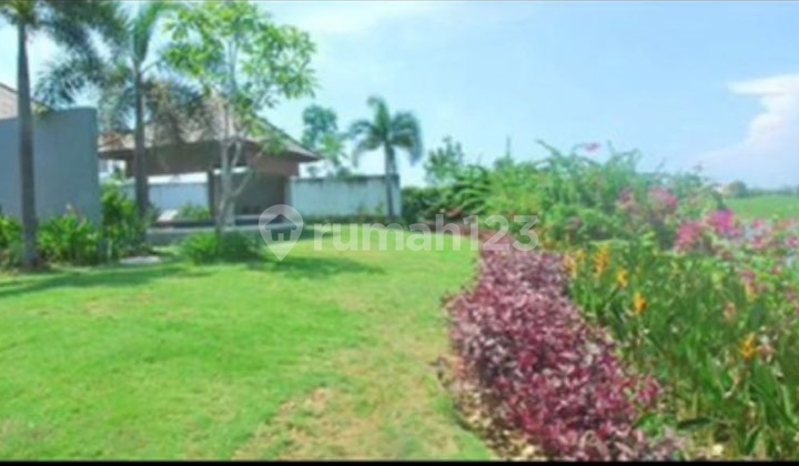 Villa 4 Unit Di Pecatu Bali  9