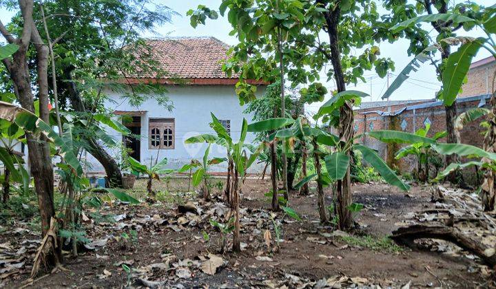 Dijual Tanah Bonus Bangunan Lama di Sragen Wetan, Sragen 2