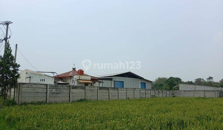 Dijual Tanah di Raya Ciptayasa Ciruas ,serang,banten 2