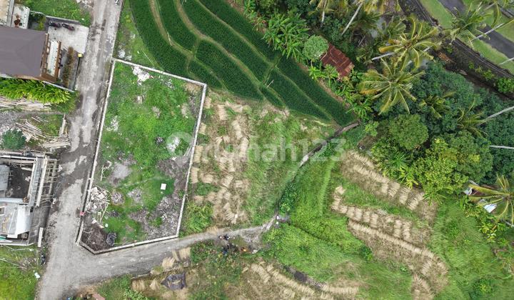 Special Plot at Cemagi Beach, Badung, Bali