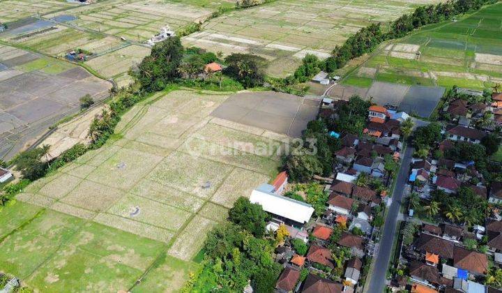 3 kavling Terakhir di kaba kaba tabanan luas 300m2 1