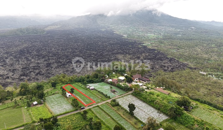 Land 800 M2 View Black Lava In Kintamani