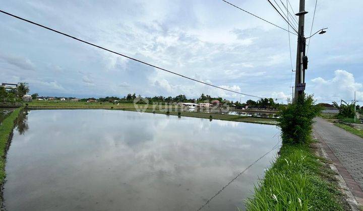 Tanah 800m2 Di Pantai Kedungu Tabanan Bali 2