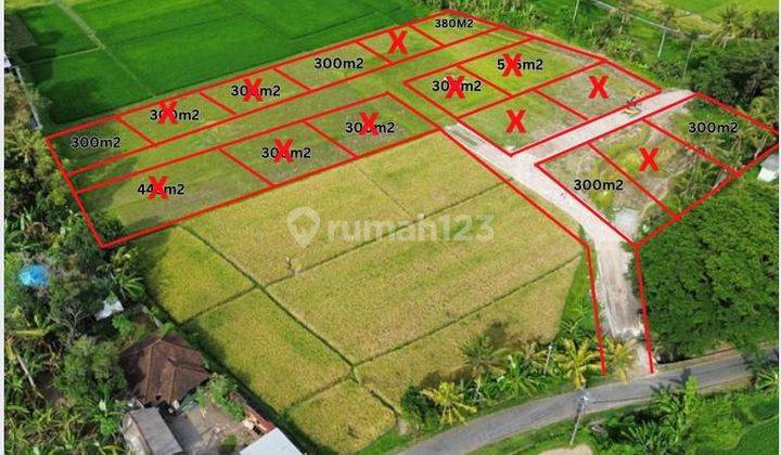 The last 3 lots in Kaba Kaba Tabanan area 300m2 1