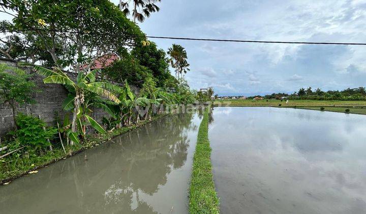 Tanah 800m2 Di Pantai Kedungu Tabanan Bali 1