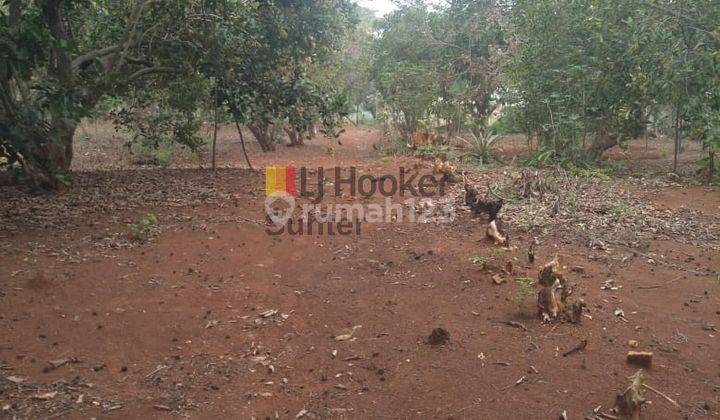 Tanah Jual, Samping Pt Jaffa Dan Pt San Fu, Purwakarta Jawa Barat 5