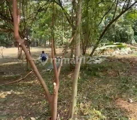 Hot Sale! Tanah Area Jagakarsa Harga di Bawah NJOP