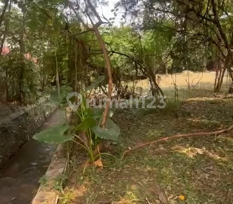 Hot Sale! Tanah Area Jagakarsa Harga di Bawah NJOP