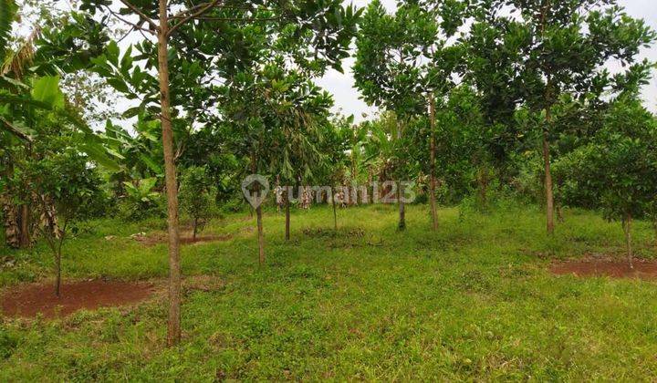 Sale Lahan Kaw Plot Industri Kalijati Subang - Jawa Barat 1