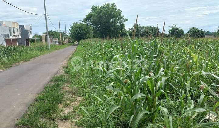 Jual Promo Lahan Kaw Industri Serang Banten