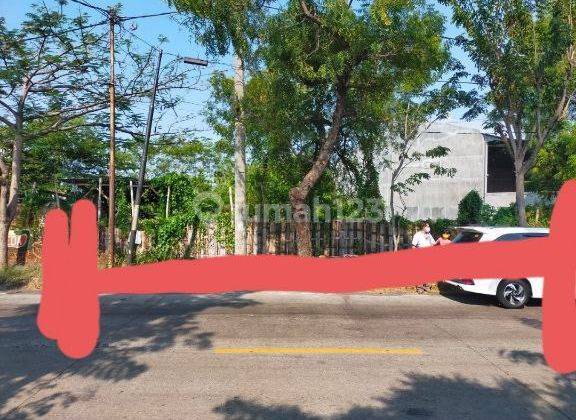 Dijual Cepat Tanah Jl Anggrek Probolinggo Strategis Arah Ke Pelabuhan Luas  2