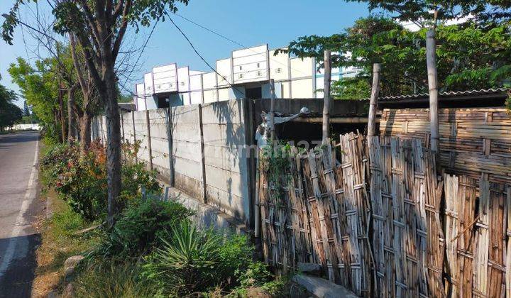 Dijual Cepat Tanah Jl Anggrek Probolinggo Strategis Arah Ke Pelabuhan Luas  4