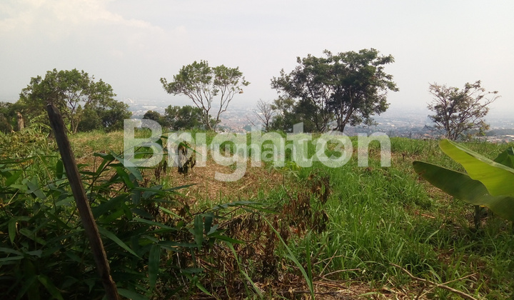 TANAH LUAS LOKASI STRATEGIS UNTUK WISATA ALAM DI UJUNG BERUNG