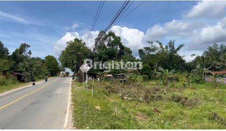 TANAH STRATEGIS POROS JALAN DEKAT IKN DI KAWASAN KILO 29 2