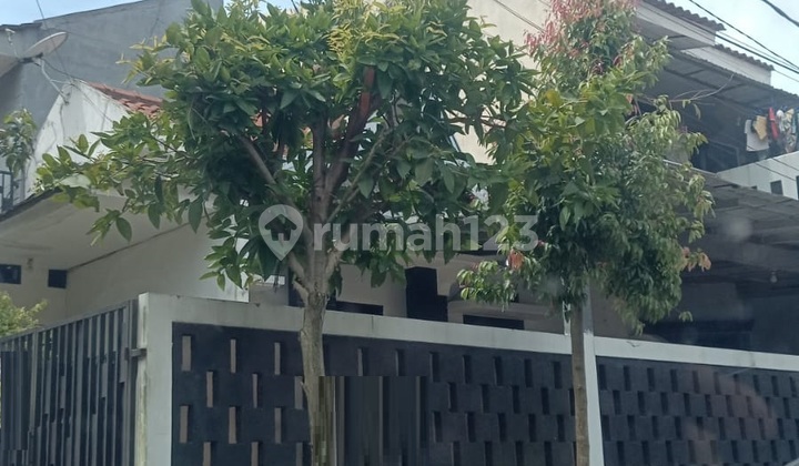 Rumah Bagus Jual Cepat di Cibubur City Rumah Bagus Jual Cepat di Cibubur City