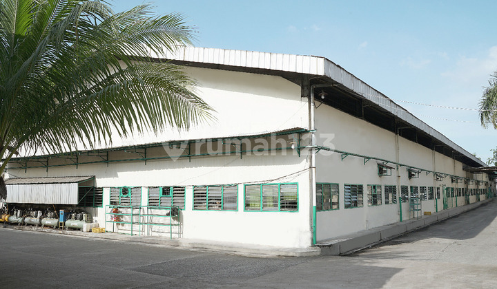Gudang dan Kantor di Daan Mogot Tangerang Hadap Timur Laut