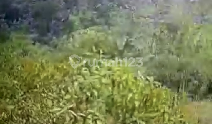 Tanah Untuk Peternakkan. Gudang. Dll. Bebas Banjir Tanah Untuk Peternakkan. Gudang. Dll. Bebas Banjir