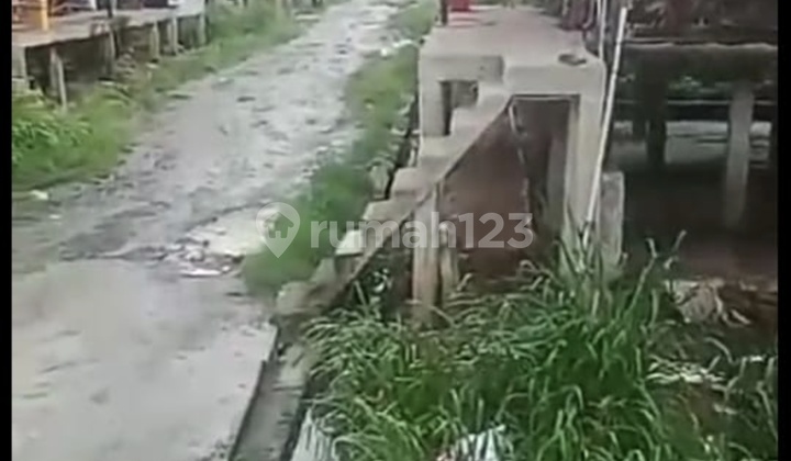 Livestock Farm for Sale. Flood-Free