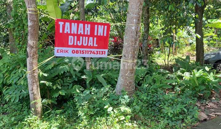 Dijual Tanah Pekarangan