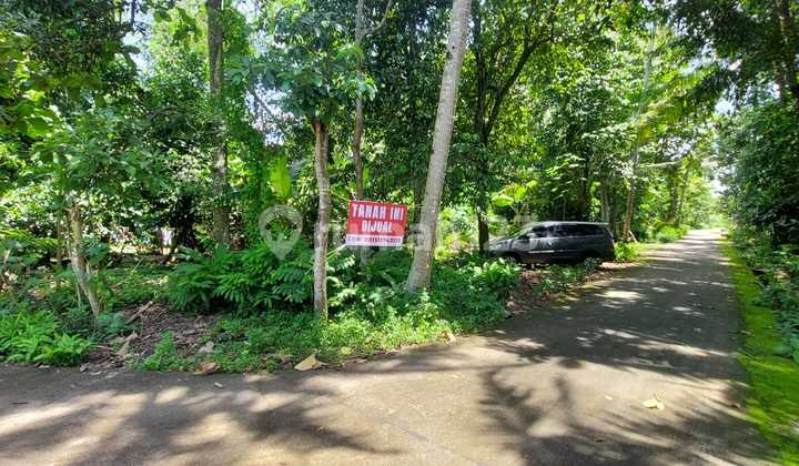 Dijual Tanah Pekarangan