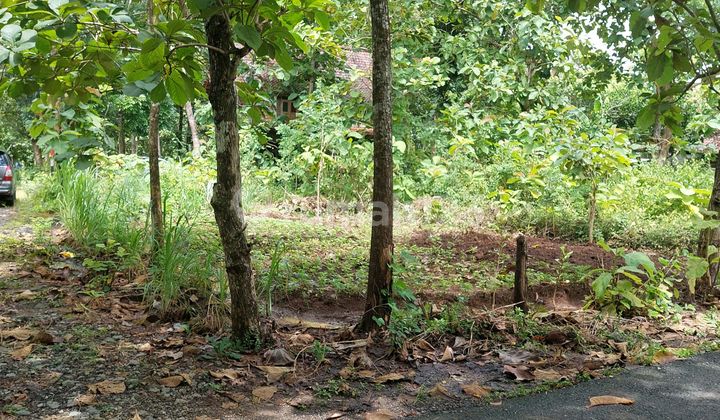 Di Jual Tanah Strategis di Pajangan Bantul