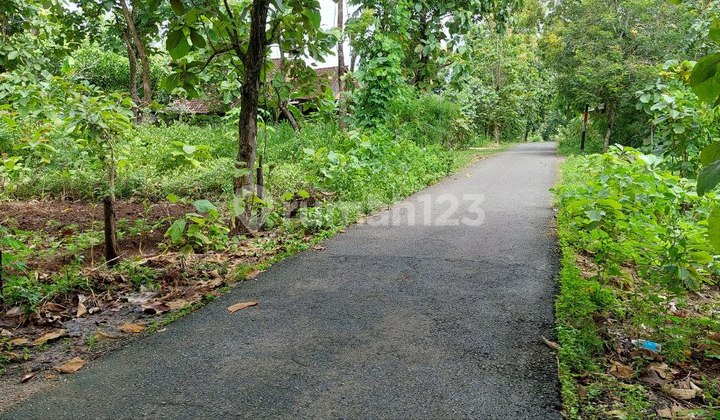 Tanah Dijual Pinggir Jalan Pajangan Bantul Yogyakarta