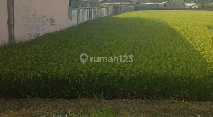 Dijual Tanah Murah Strategis Gudang Kota Semarang 2