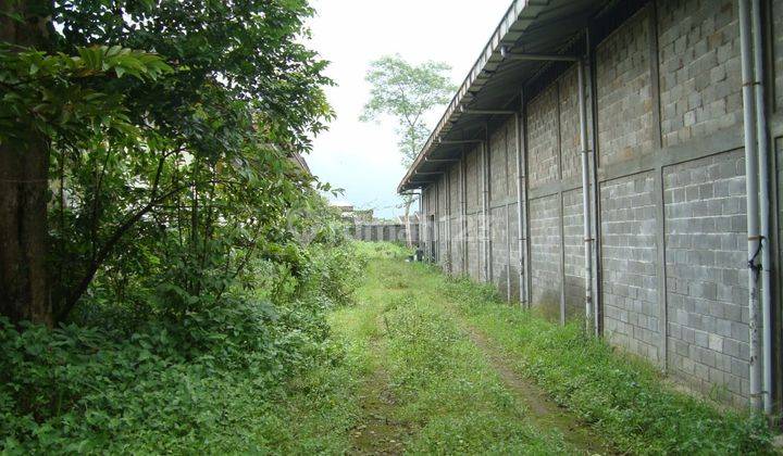 Disewakan Gudang Bagus 1200m2 SHM Jln.jendral Sudiman, Semarrang 8