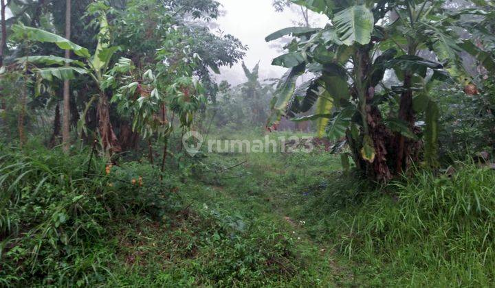 Dijual Tanah didaerah Kabupaten Ungaran.SHM 1