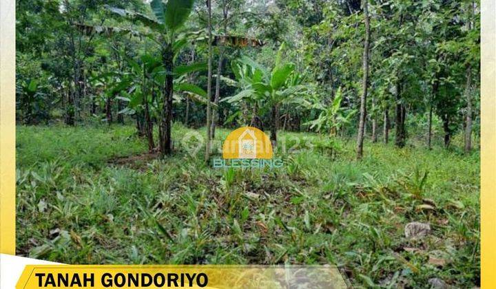 Dijual tanah di daerah Gondoriyo,Kalilancar Ngaliyan 1