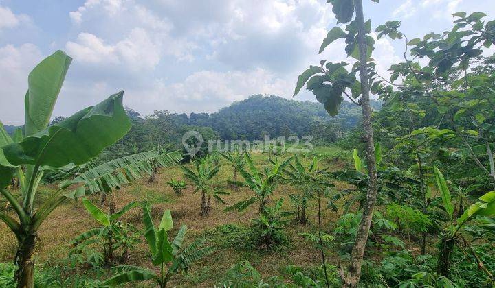 Tanah Bagus Murah 2 Sertifikat SHM di Boja 16521 m² 2