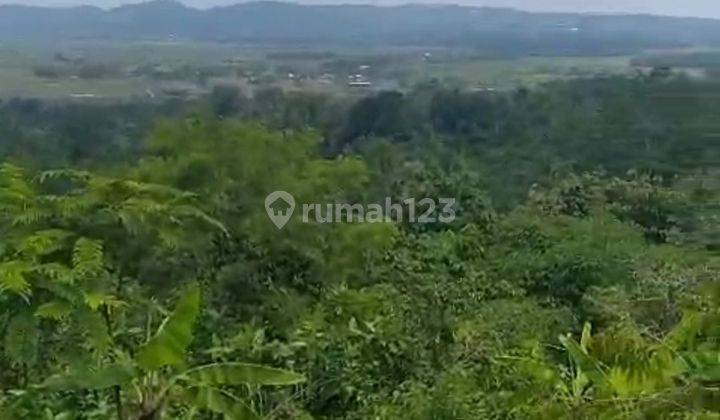 Tanah Cocok untuk Wisata di Ambarawa 43000 m² SHM 1