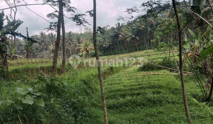 Dijual Tanah Di Gunung Pati Shm 2377.0 M² Bebas Banjir 2