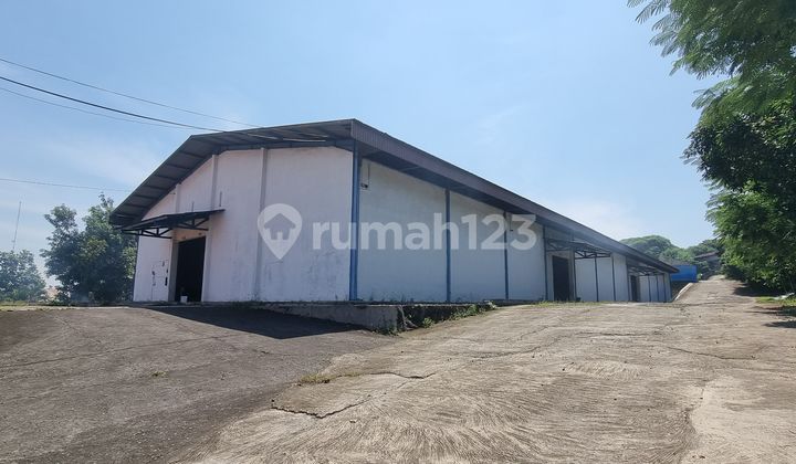 Warehouse For Rent in Tugurejo Area, Semarang 2
