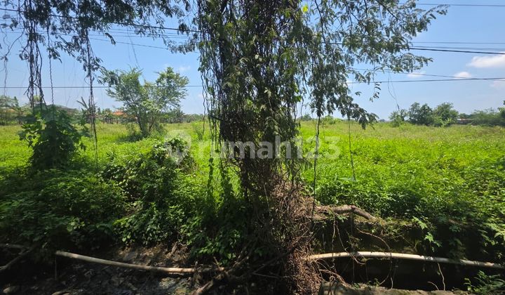 Dijual Tanah di Kawasan Industri Cocok untuk Industri 2