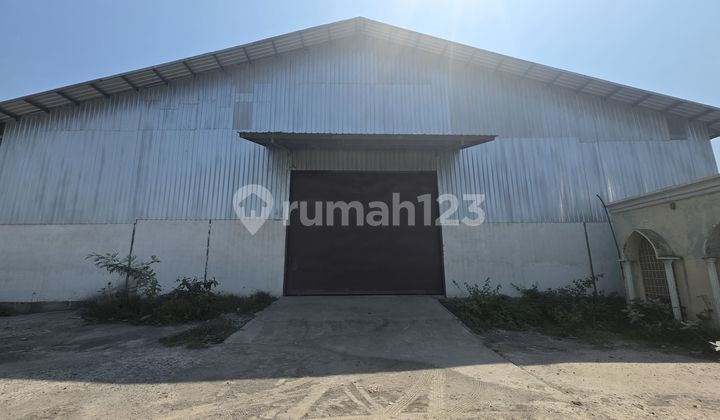 Disewakan Gudang Di Kaliwungu Kabupaten Kendal Disewakan Gudang Di Kaliwungu Kabupaten Kendal