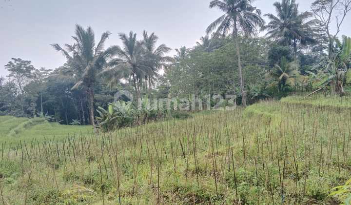 Dijual Tanah Di Gunung Pati Shm 2377.0 M² Bebas Banjir 1