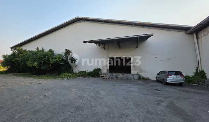 Disewakan Gudang 2.5ha Di Daerah Yos Sudarso Semarang Disewakan Gudang 2.5ha Di Daerah Yos Sudarso Semarang