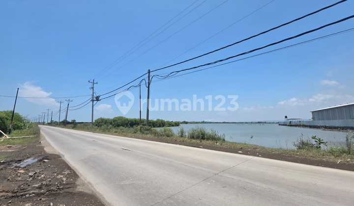 Dijual Tanah Area Industrial Semarang Cocok untuk Industri 2