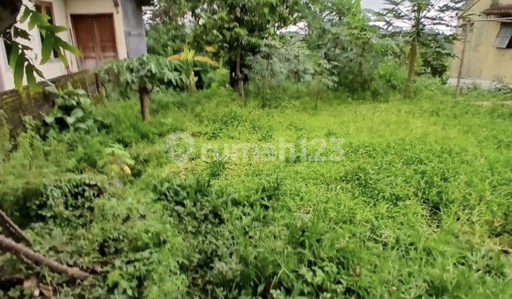 Tanah Dijual Cocok untuk Usaha di Bugel, Salatiga