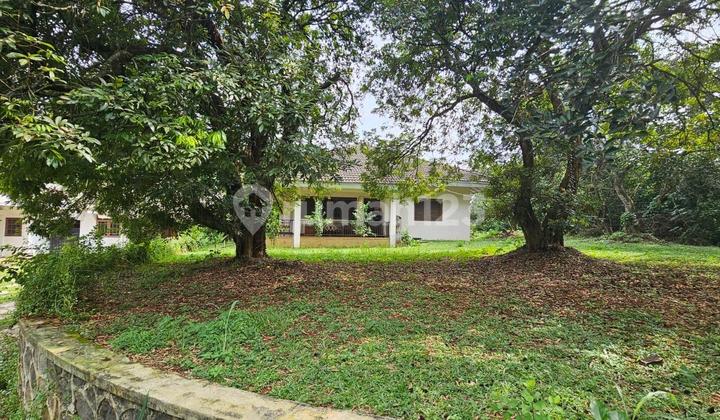 Land for Sale in Depok, Suitable for Investment & Development Land for Sale in Depok, Suitable for Investment & Development